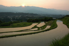 Sakelovers Yonezawa-Brauerei Umgebung