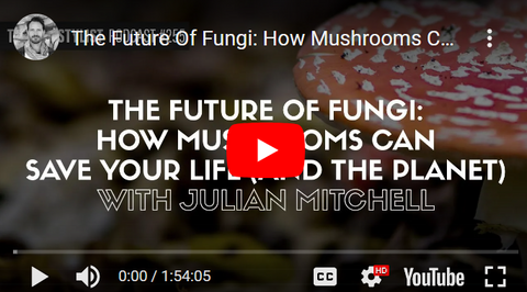 Life Cykel today - How Mushrooms Can Save the Planet