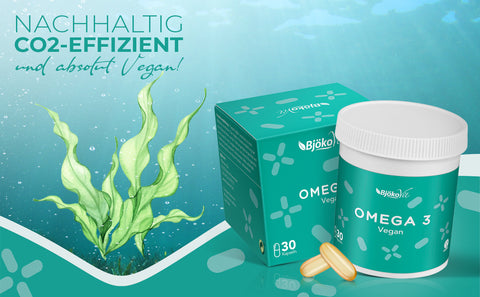 Omega-3 Algenöl Kapseln | BjökoVit