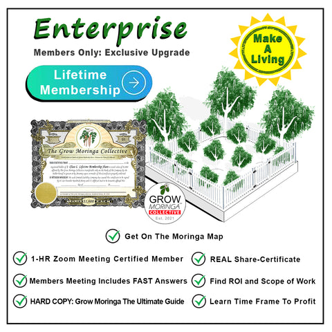 grow-moringa-collective-enterprise-lifetime-member