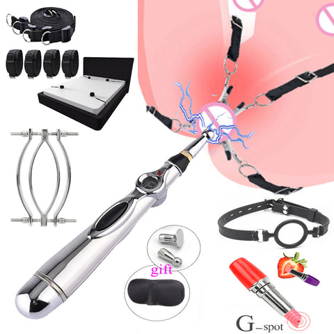 Electric Shock Vagina Pen Labia Clips Nipple Clamp Bdsm Bondage Clit S pic