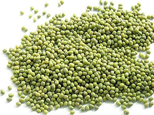 Todd's Seeds® Sprouting Seeds Mung Bean, Chinese Bean Sprouts, 5 Pounds