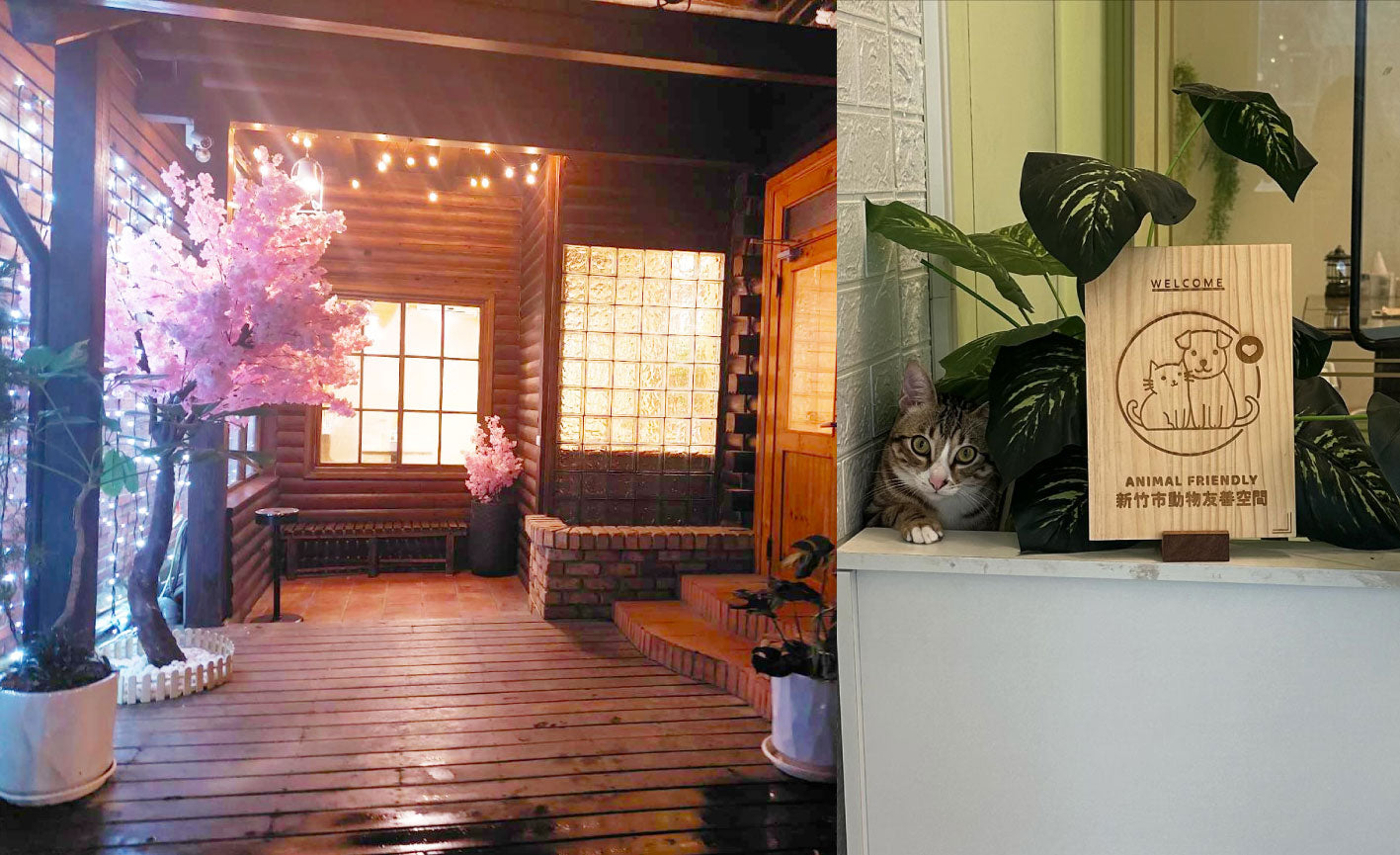 新竹寵物友善餐廳曙光沐屋，同時是貓中途可以認養貓咪，還有寵物溝通服務。