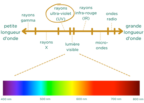 photovieillissement et rayons du soleil