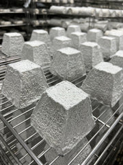 Pieces of Valencay aging on racks