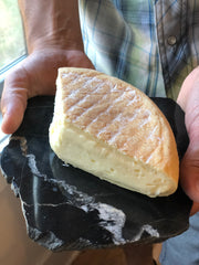 Wedge of Oma on marble rock