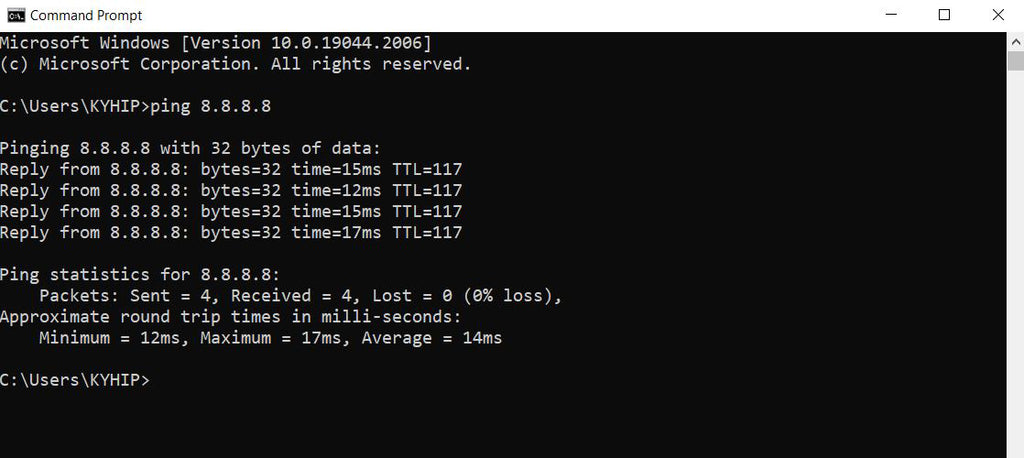 What does ping 8.8 8.8 T do?