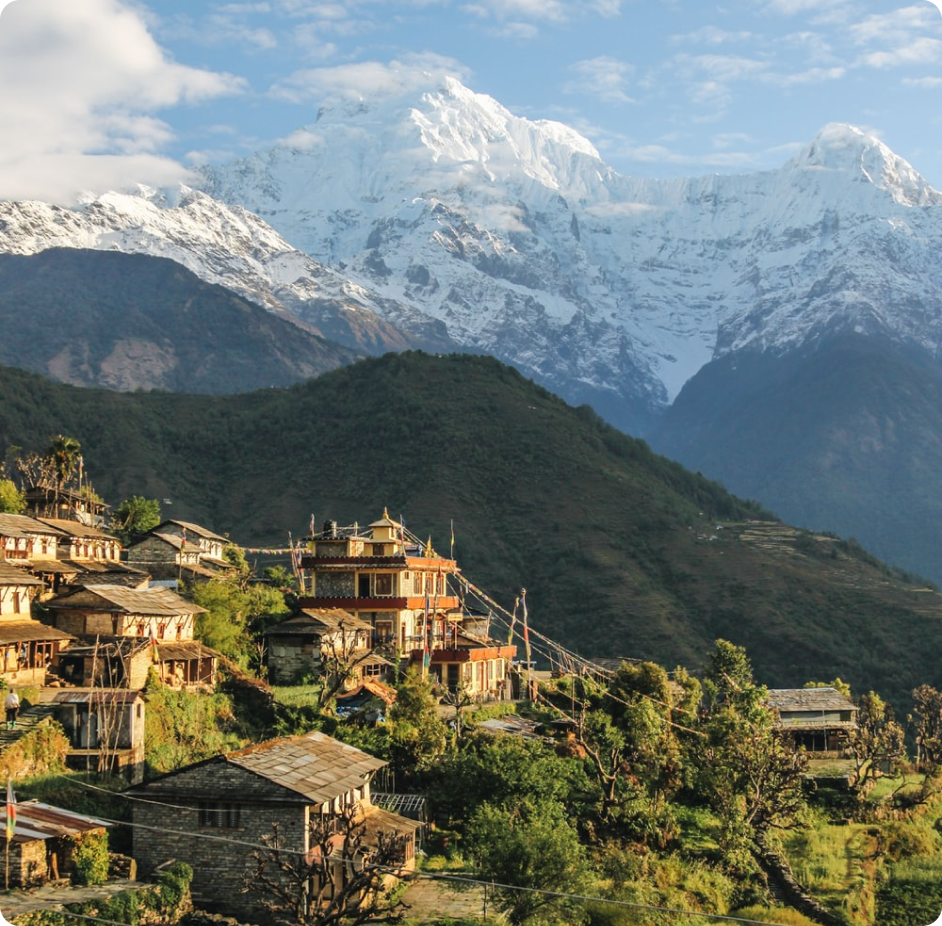 The 2015 Nepal Earthquakes