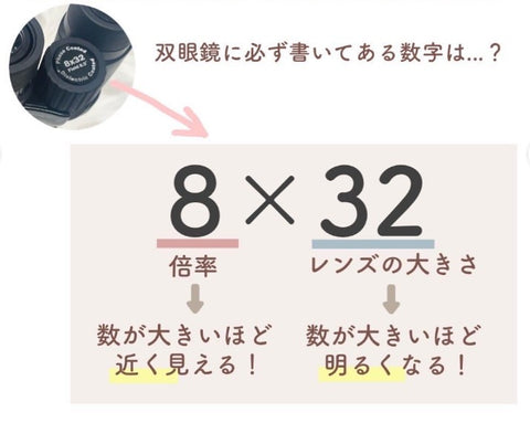 双眼鏡の選び方　倍率と口径