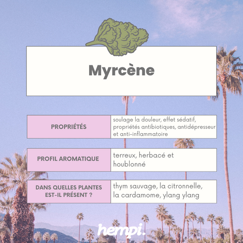 myrcene terpene bienfaits