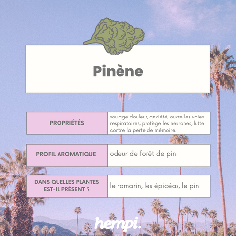 pinene terpene bienfaits