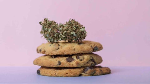 recette space cookies cbd cannabis chanvre