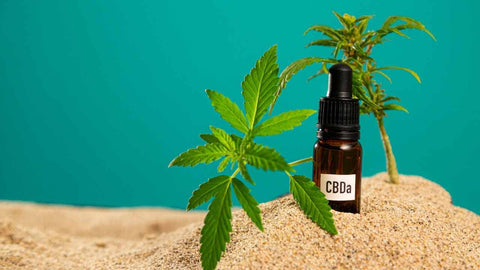 ¿Qué es cbda frente a cbd?