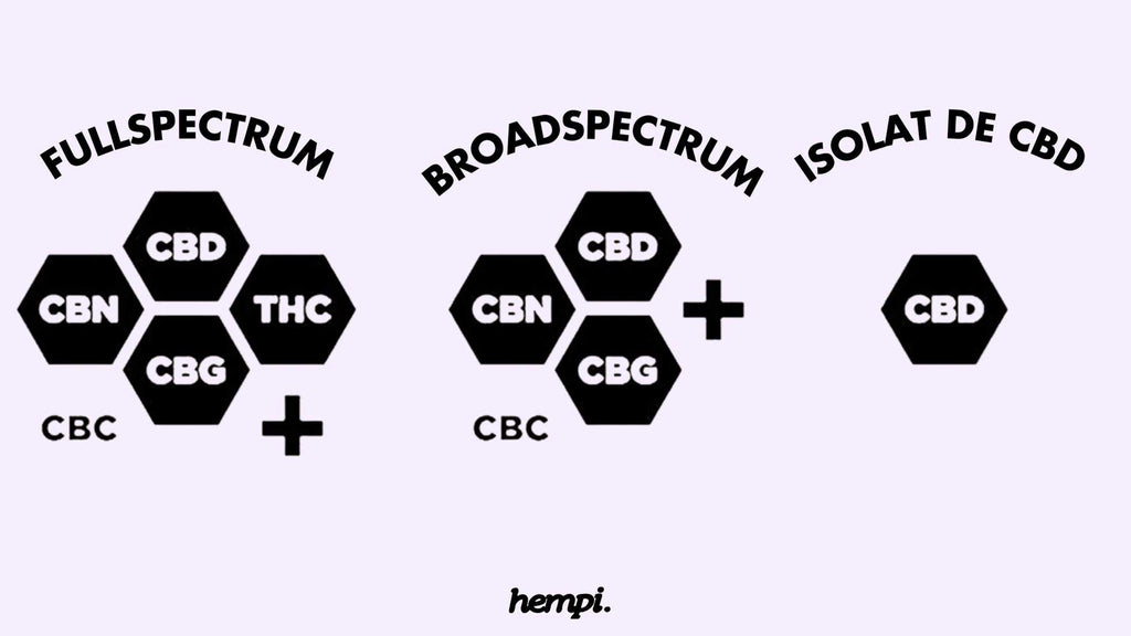 diferencia cbd de espectro completo de amplio espectro y aislado