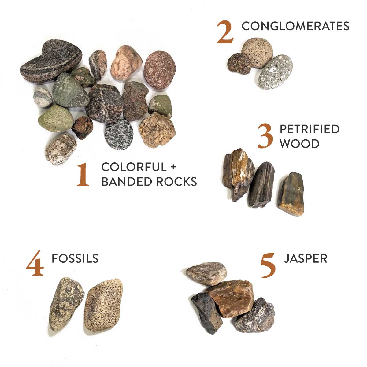 Graphic showing 5 types of landscape gravel you can turn into jewelry. Includes colorful and banded stones, conglomerates, petrified wood, fossils, and jasper.