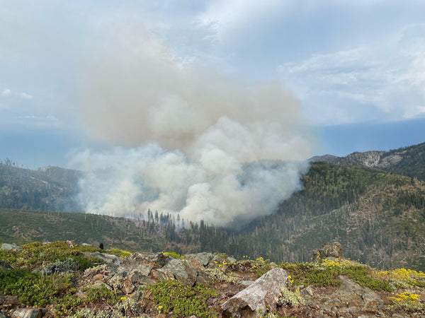 A forest fire burns in the western Purple Martin range.