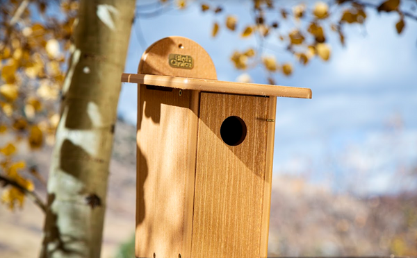 a bluebird box mounted in the mountains