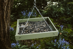 Birds Choice Platform Feeder with Sunflower Seeds