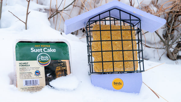 hot pepper suet cake next to lavender suet feeder