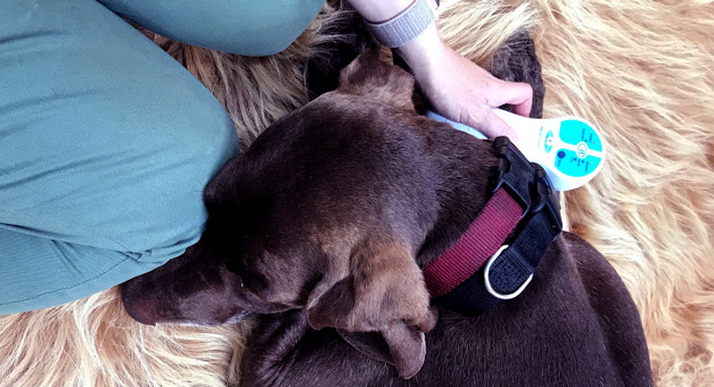 Laser With Acupuncture