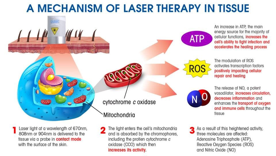 Mechanism-of-Low-Level-Laser-Therapy-in-Tissue