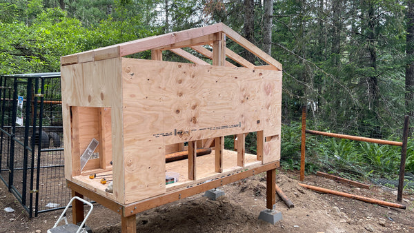 The cutouts for the large door and nest boxes