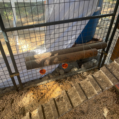 Wood to block chickens from standing on drinking cup system