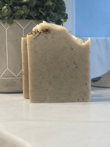 Organic Hydrating Shampoo Bar  All-Natural Plant-Based Plastic