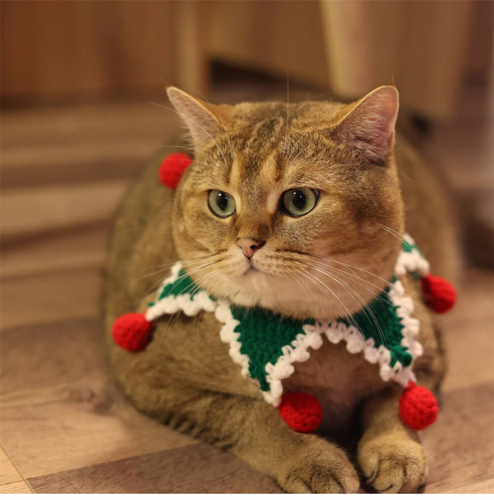 Écharpe de chat de Noël