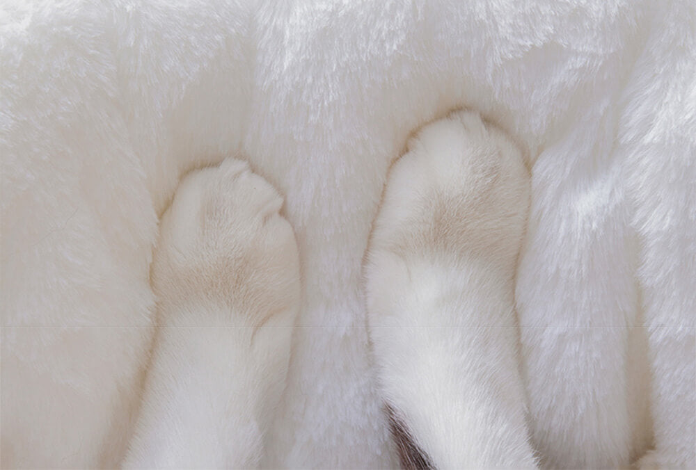 Lit pour chat chauffant les pieds