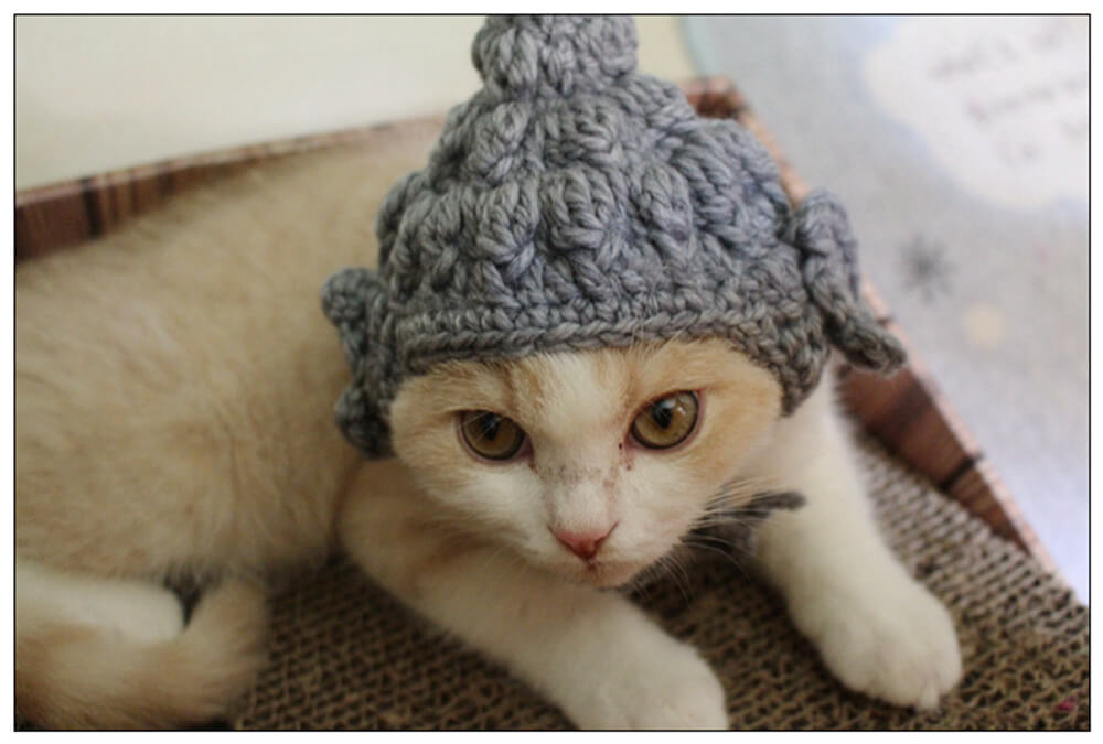 Déguisement de chat douillet