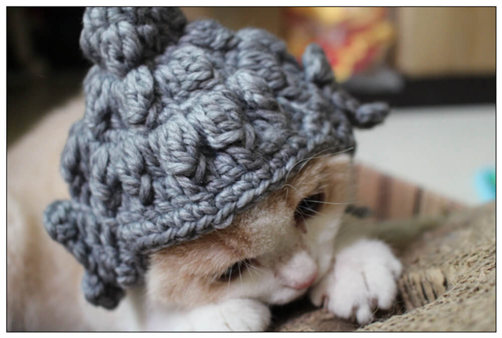 Whimsical Cat Hat