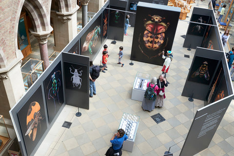 oxford university museum natural history 2