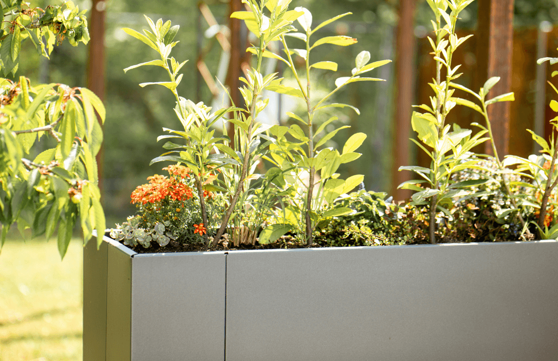 ELEO Hochbeet Manarola pulverbeschichtet anthrazit bepflanzt in einem grünen Garten