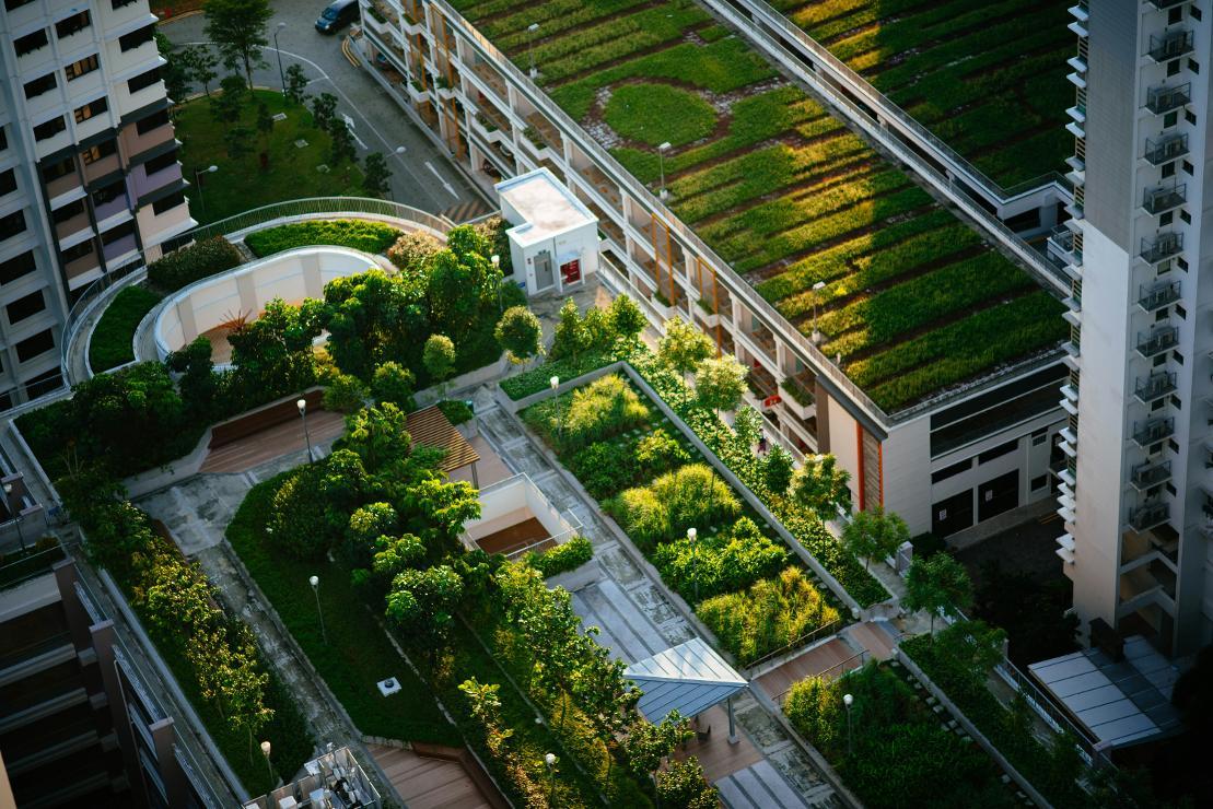 Green City, Blick auf extensive Dachbegrünung in der Stadt