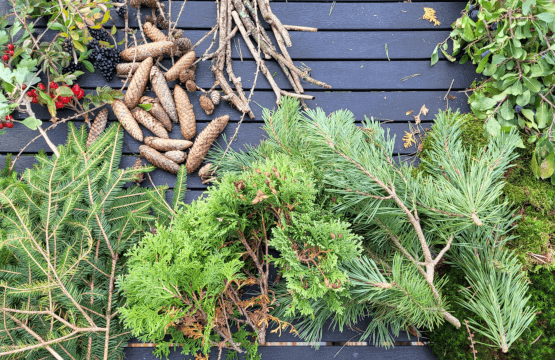 Naturmaterialien aus dem Wald: Zweige, Äste, Moos, Beeren