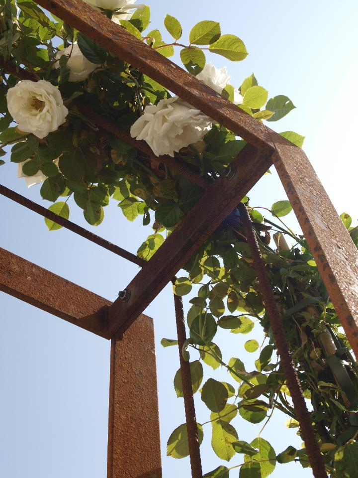 ELEO Rosenbogen Savona, unbeschichtet, mit weißen Rosen bepflanzt, Detailaufnahme