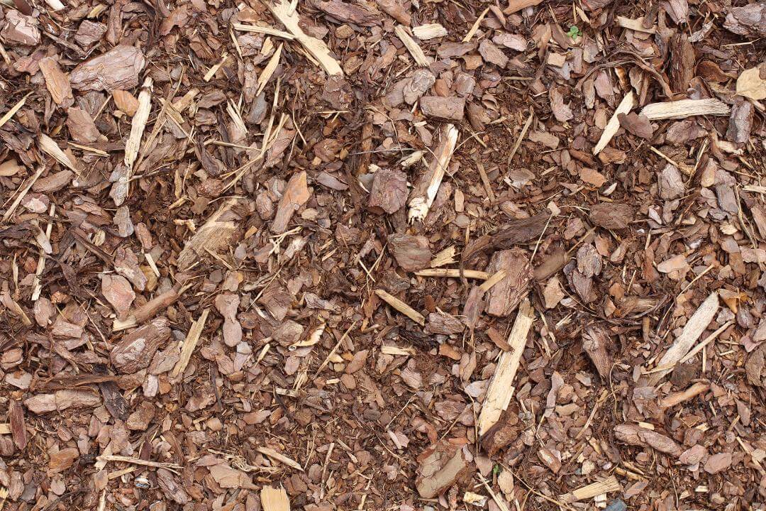 Rindenmulch in Detailaufnahme