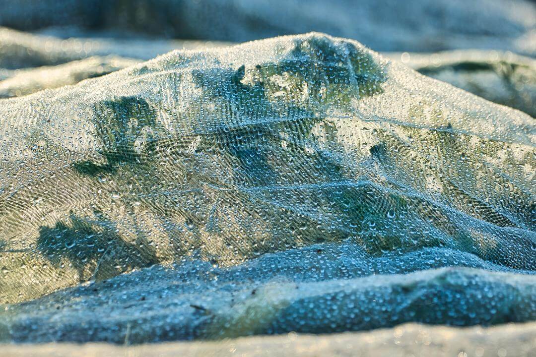 Feuchtes Schutzvlies bei Frost über Gemüsepflanzen