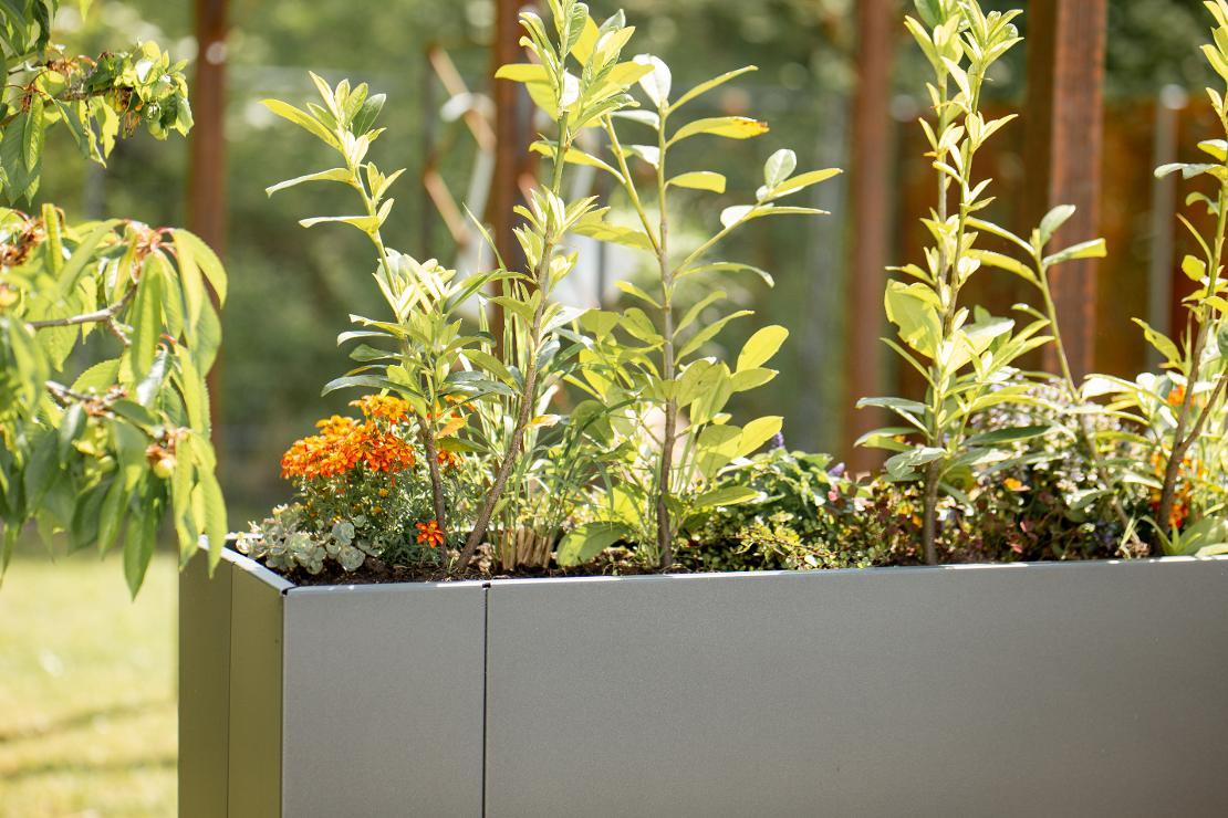 ELEO Metallpflanzkübel im städtischen Garten für Urban Gardening