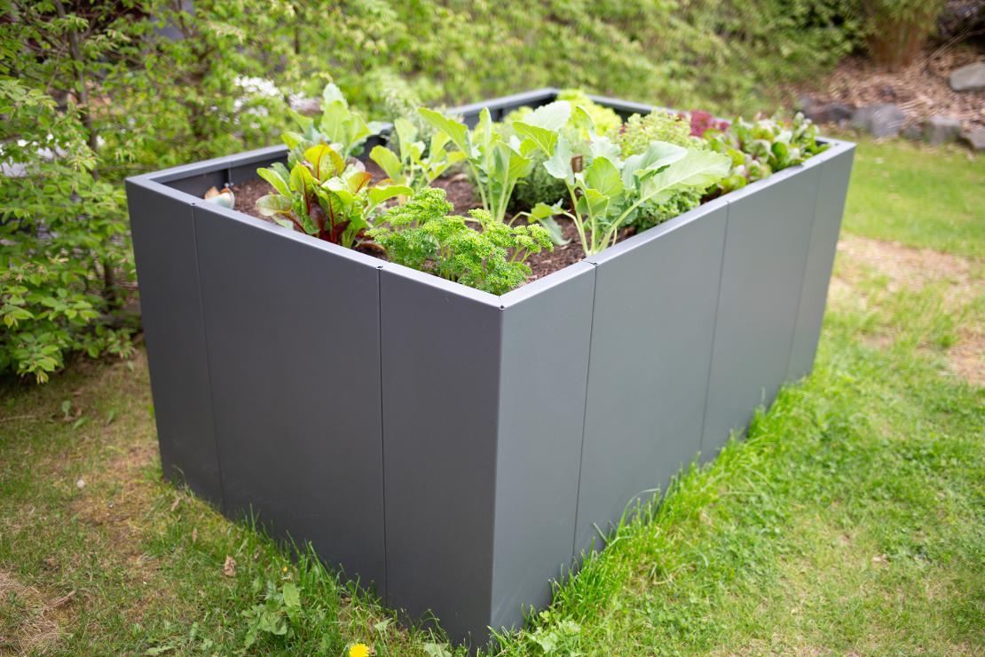 Bepflanztes ELEO Metallhochbeet im städtischen Garten für Urban Gardening