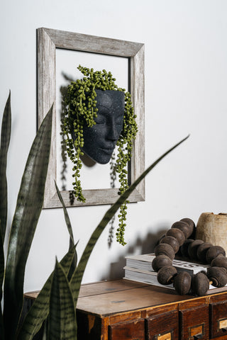 face planter for walls indoor home decor