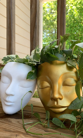 Bossa Linda face vase gift for plant lover