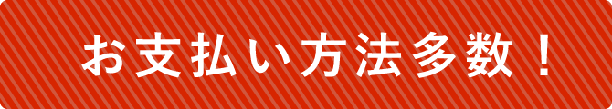 お支払い方法多数ご用意しております