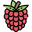 raspberry