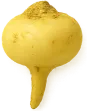 Maca Root Extract
