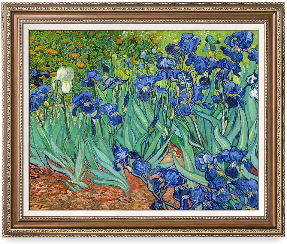 Irises in the Garden by Vincent Van Gogh, Art Reproduction – DecorArts