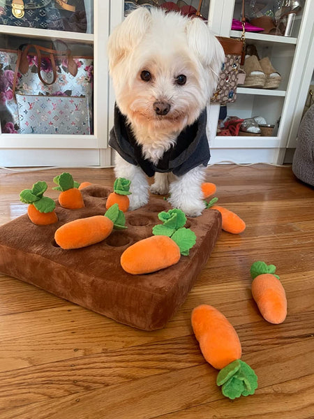 Carrot Plushie Dog Toy