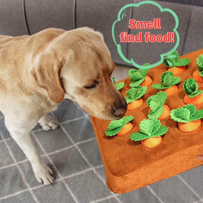 Carrot Farm Dog Chew Sniff Toys