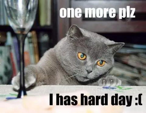 Cats will also have hard day